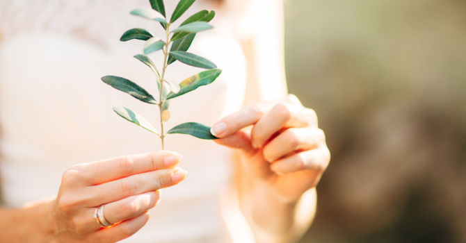 Why Premarital Counselling Is the Best Investment in Your Marriage image